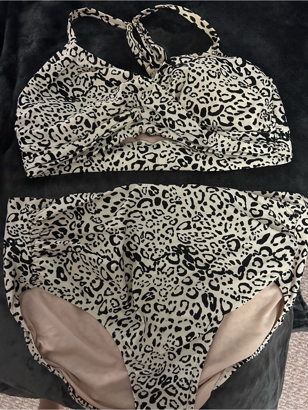 Leopard Print Two-Piece Bikini Set - Black & Cream
